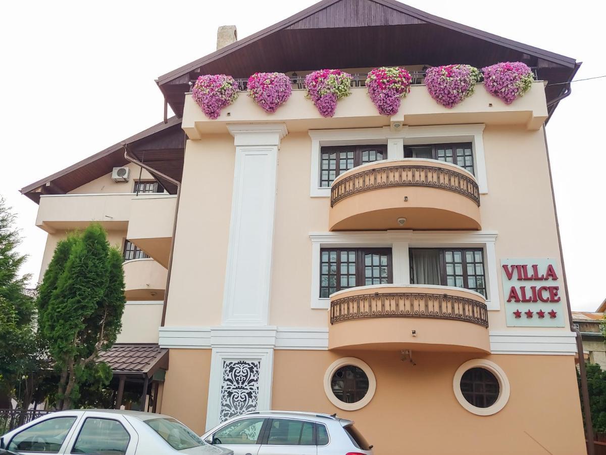 Villa Alice Suceava Dış mekan fotoğraf