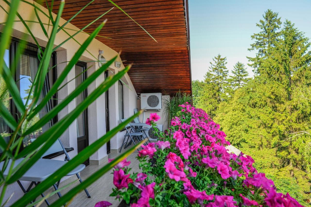 Villa Alice Suceava Dış mekan fotoğraf