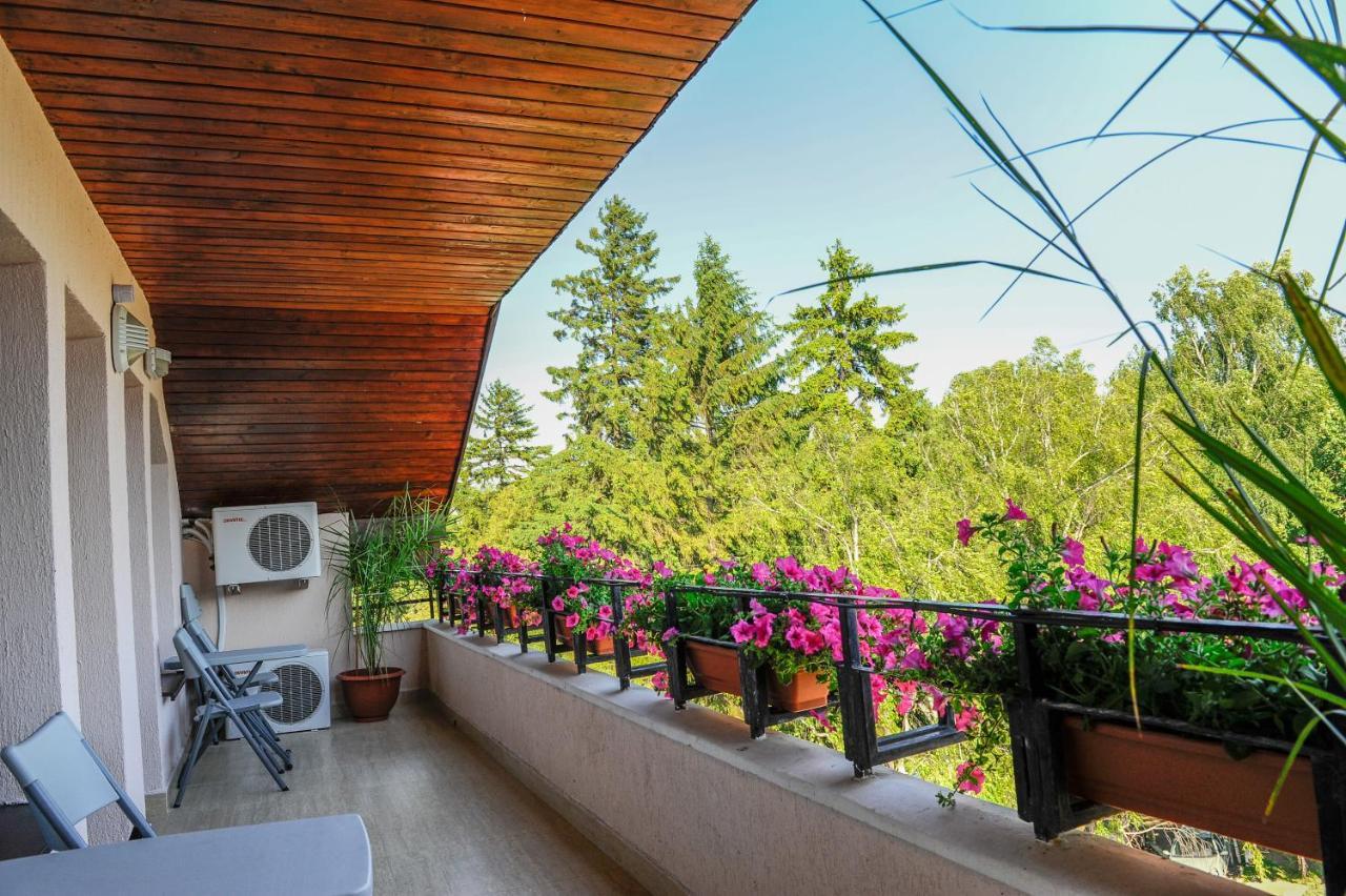 Villa Alice Suceava Dış mekan fotoğraf